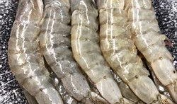 臭鱼烂虾爆料视频大全下载,揭秘娱乐圈幕后真相